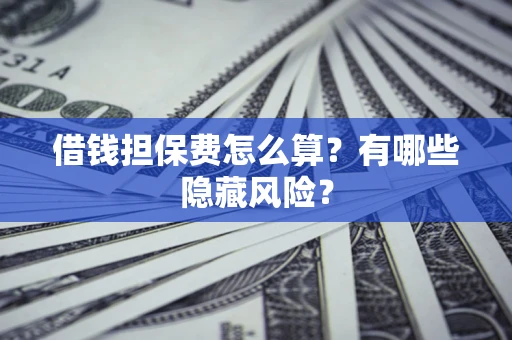 武汉借钱担保费怎么算？有哪些隐藏风险？