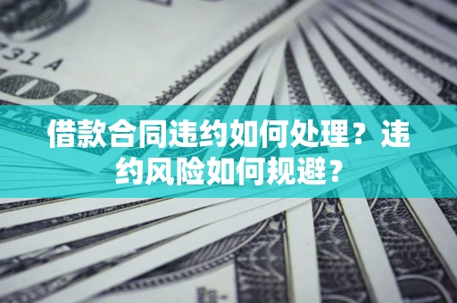 武汉借款合同违约如何处理？违约风险如何规避？
